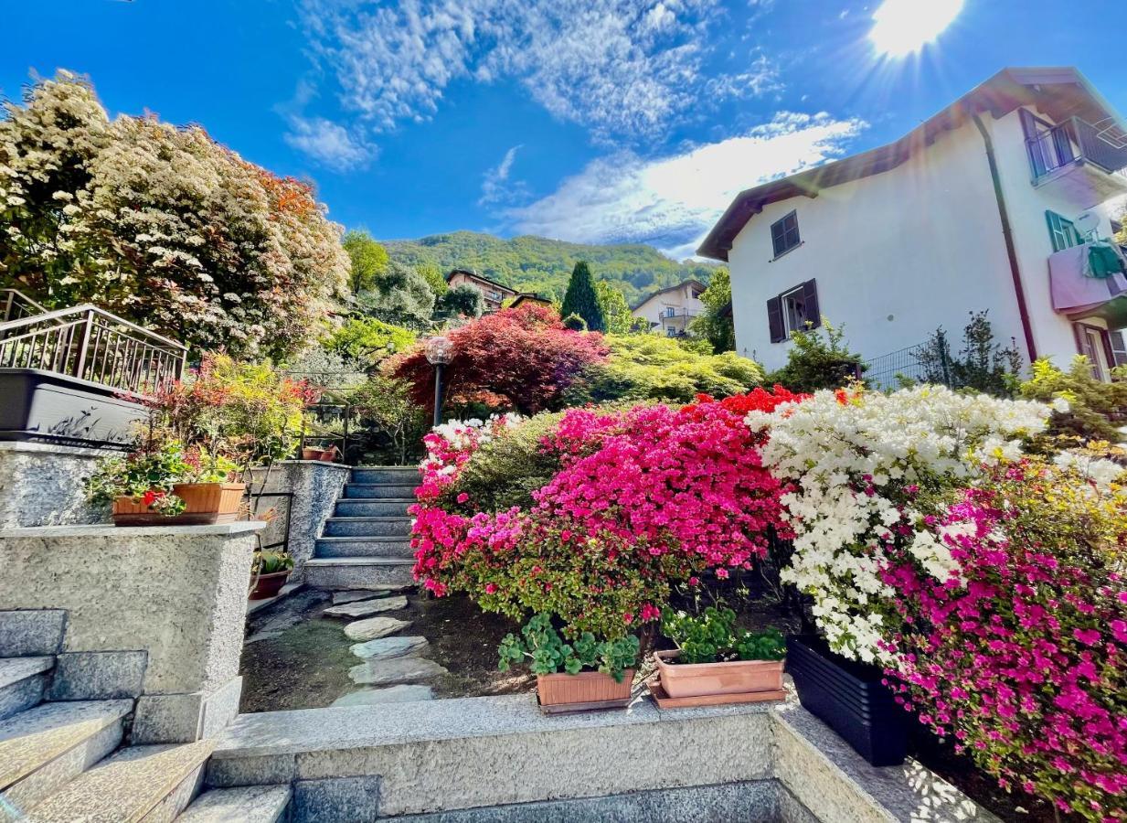 Eden Sul Lago Di Como Nesso Eksteriør bilde
